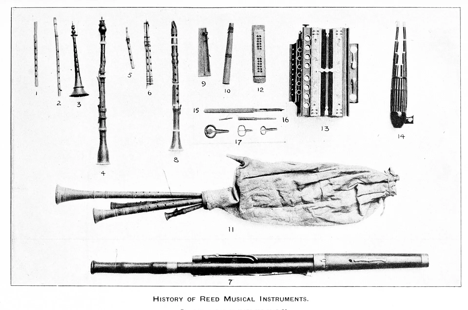 Engraving of various historical reed musical instruments